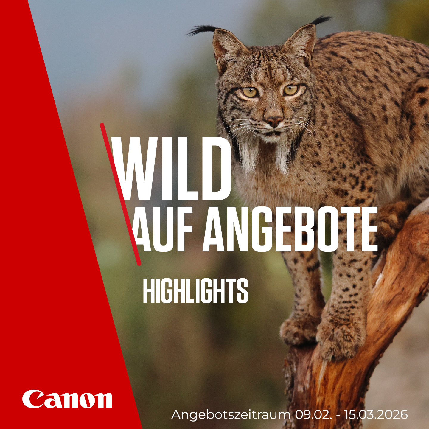 CAN_Social_Wildlife Highlights_1080x1080px1